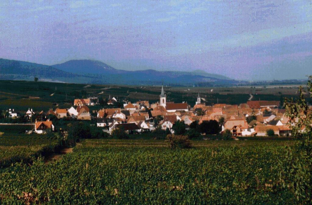 Et D'hotes, L'erable Beblenheim